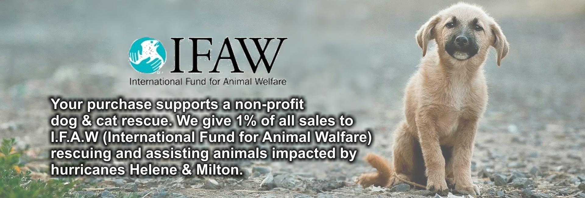 IFAW